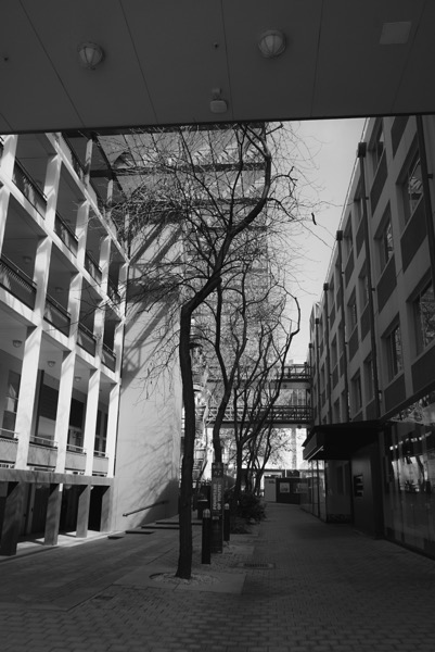 A black and white photograph depicts a narrow alleyway or pedestrian walkway between two multi-story buildings. The buildings on either side have a modern architectural style, with multiple levels and balconies. A bare tree stands prominently in the center of the walkway, its branches reaching upwards and casting long shadows across the brick-paved ground. The perspective is looking down the alleyway, with a brighter area visible at the far end. There appears to be a metal structure or bridge connecting the buildings higher up, and the overall scene has a stark, graphic quality due to the strong contrast and lack of color.</p></p>

<p><p>Provided by @altbot, generated privately and locally using Gemma3:27b