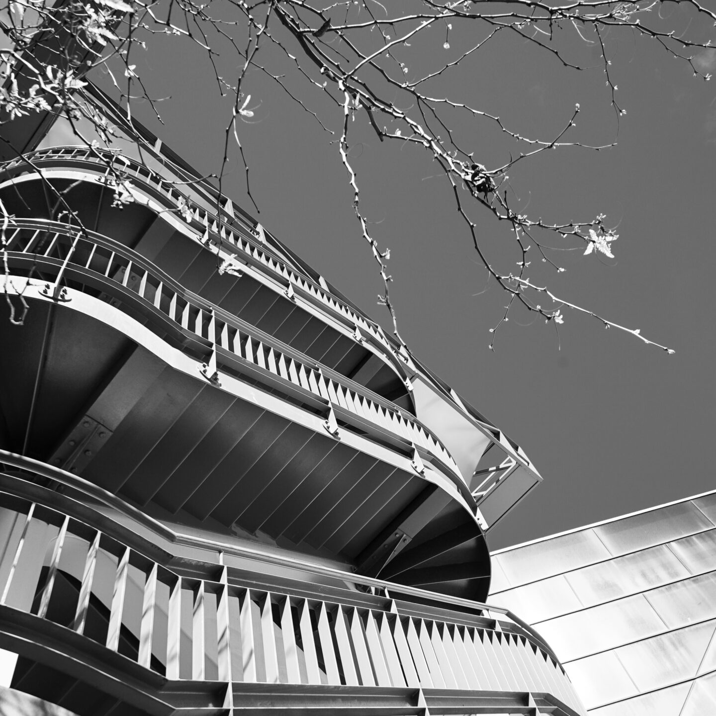 University of South Australia Scene 2, Adelaide, Australia  [Photography]