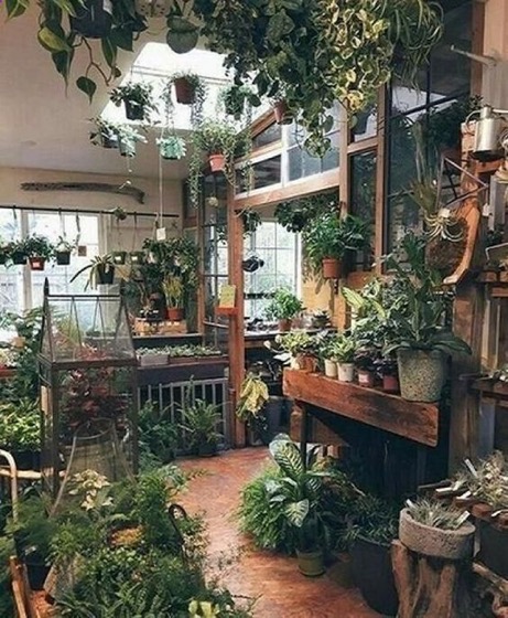 An Amazing Indoor Garden Space – A Gardener's Notebook