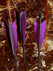 Event: SCA Archery and Thrown Weapons Practice – Sunday, October 16, 2011