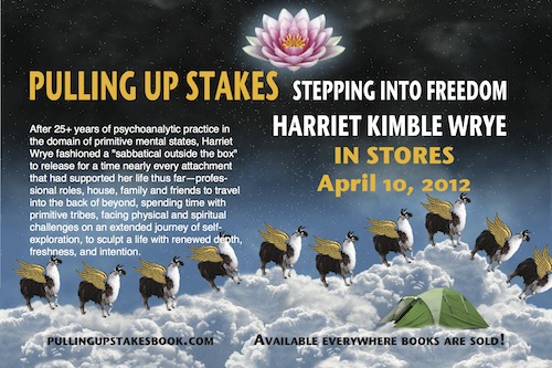 Book: Pulling up stakes by Harriet Kimble Wrye
