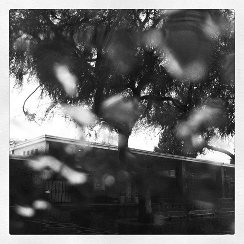 Photo: Rain on the window via #instagram #rain #b&w