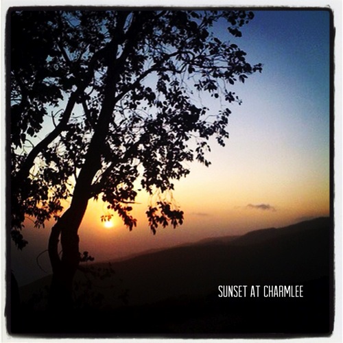Photo: Sunset at Charmlee 2009 via #instagram