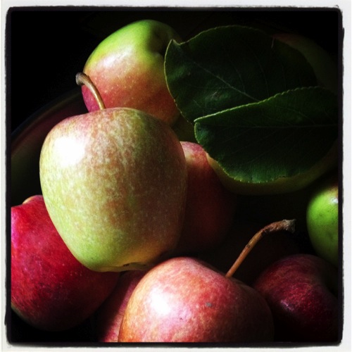 Photo: Apples from the neighbor’s garden via #instagram