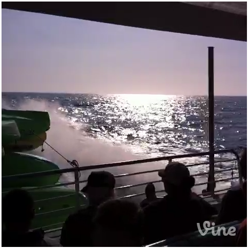 Video: To Ventura Harbor from Santa Cruz Island via Vine