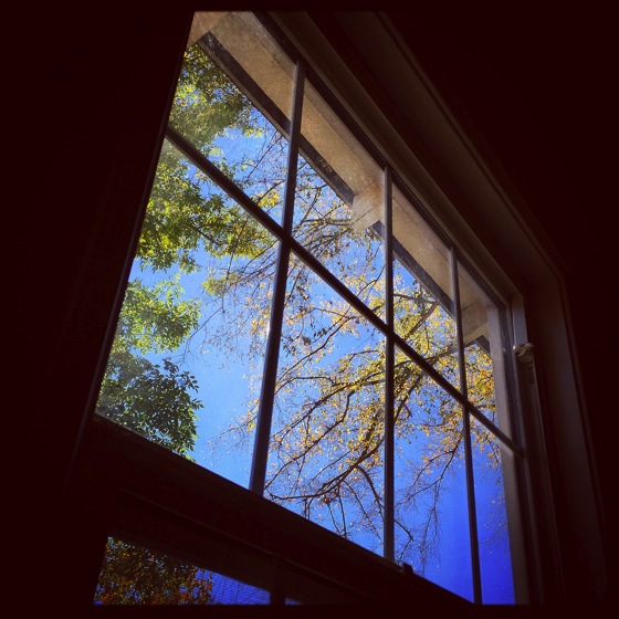 Photo: Winter Window via #instagram