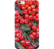 Products: Pyracantha Fruit — my photography on smartphone cases, cards, totes and more!