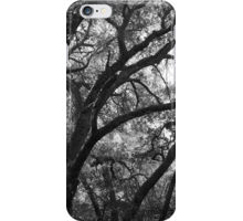 Products: Oak Trees, Santa Monica Mountains — my photography on smartphone cases, cards, totes and more!