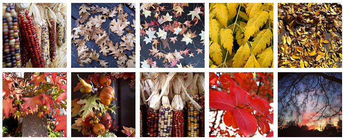 Autumn Approaches – Dress your home and office with these autumnal products