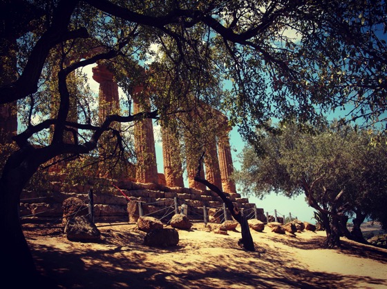 Temple with Olive Trees via Instagram [Photo]