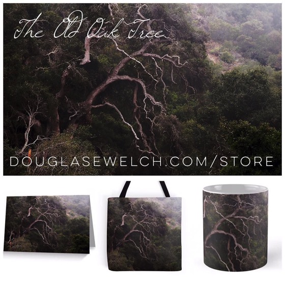 Bring home these “Old Oak Tree” Products and more today – Exclusively from Douglas E. Welch