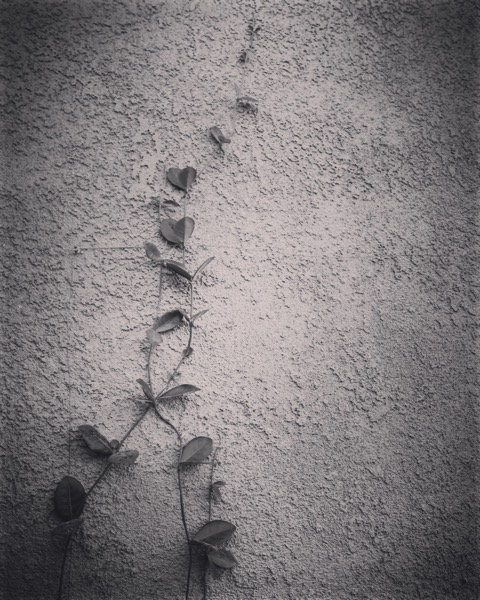 On the wall [Photo]