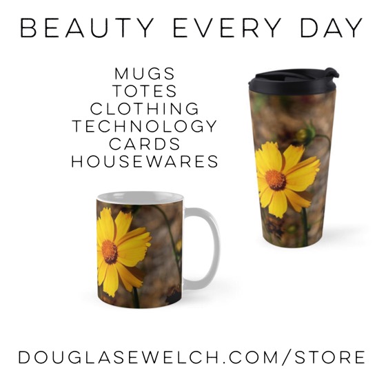 California Sunflower mugs and much more. Over 180 designs and 26 products for each design. Shop now!