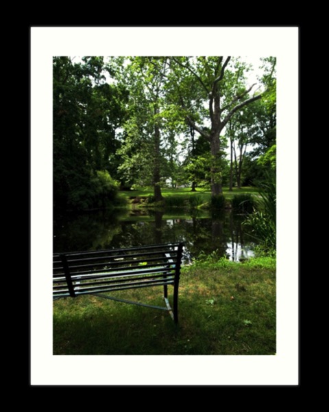 By The Pond Art Prints, Cards, Housewares and More! [Store]