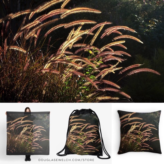 Sunset on the grass – Available as prints, pillows, scarves, bags and much more from Douglas E. Welch
