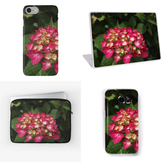 Get these Hydrangea iPhone/Samsung cases, laptop skins and sleeves — and much more — from Douglas E. Welch