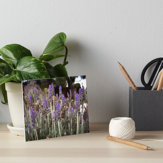 Dress up your home, office or dorm room with these lavender field gallery boards and much more!