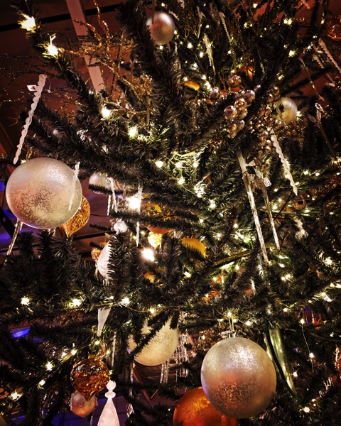 Oh Christmas Tree 4 [Photo]