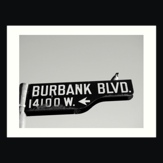 Dress up your rooms with this Burbank and Bird Art Print and much more!