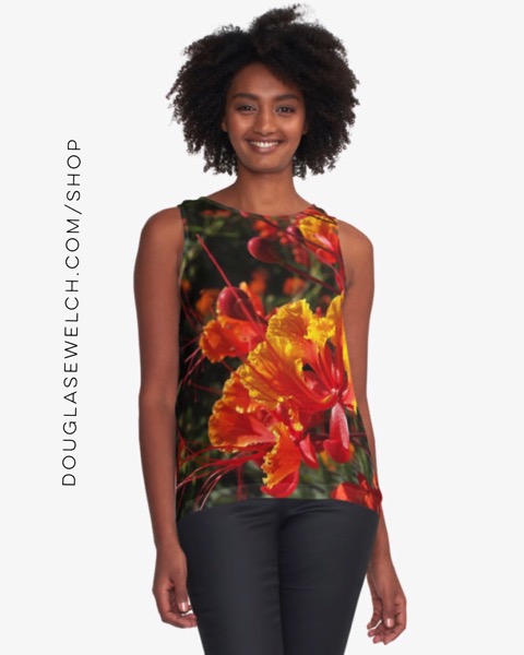 Mexican Bird-of-Paradise Top and Much More! [Clothing]