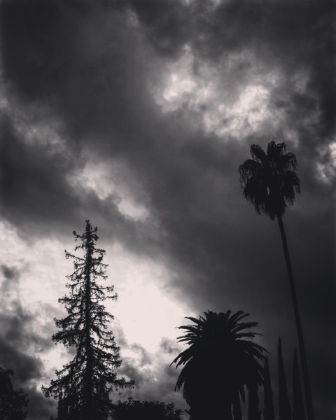 Stormy Day, Los Angeles