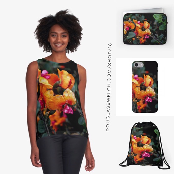Get these “Chorizema ‘Bush Flame'” Tops, iPhone Cases, Laptop Sleeves, Bags and more!