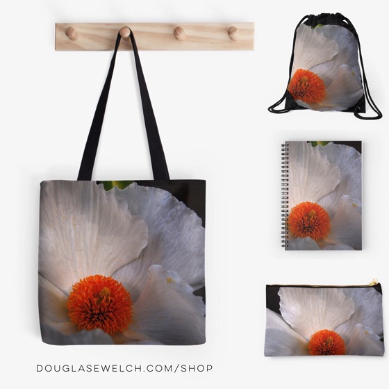 Matilija Poppy Totes, Bags, Notebooks and much more!