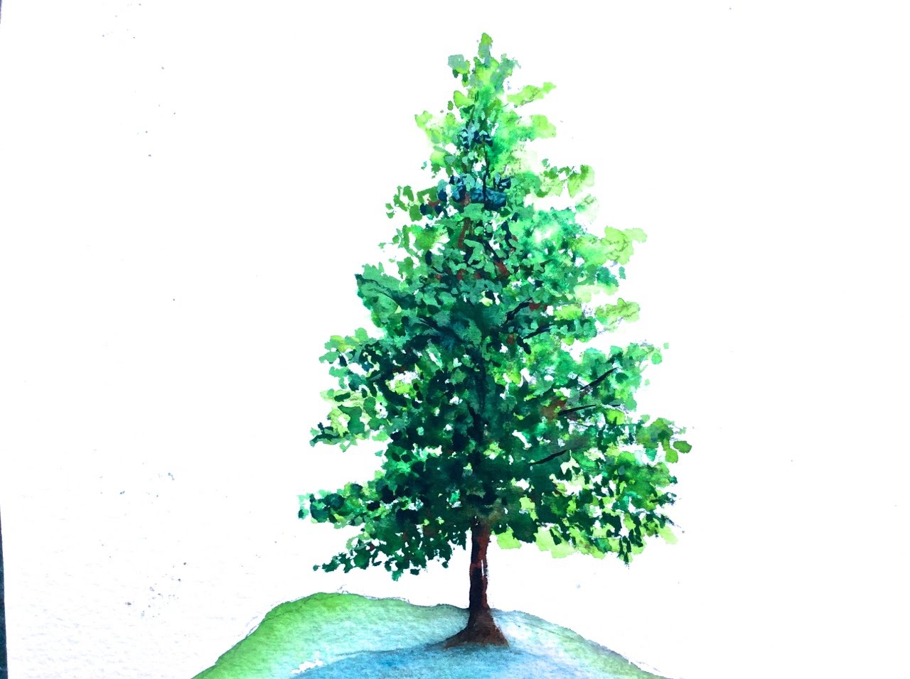 On YouTube: Tutorial how to paint a Pine Tree with Watercolor, fast and easy