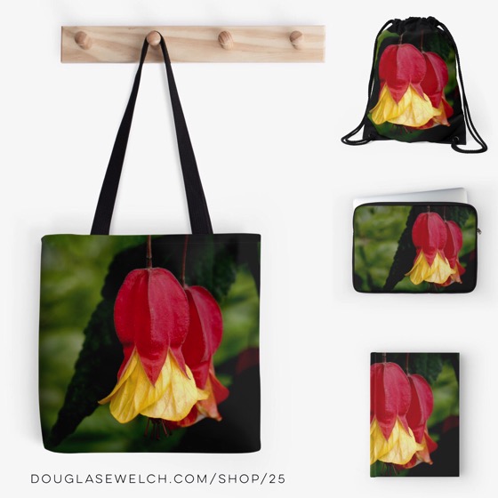 Get these “Red and Yellow Bells – Abutilon Flowers” on Totes, bags, laptop sleeves and more!