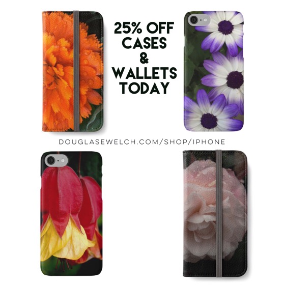 25% off All Cases and Wallets Today!
