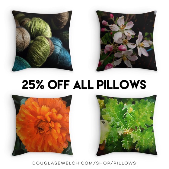 25% OFF Pillows Today! – Dress up your home on a discount today with these pillows and many more!