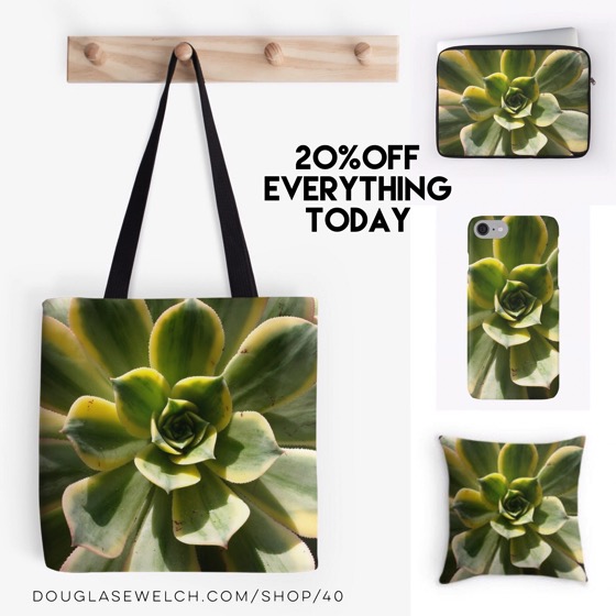 20% Off Everything Today! – Striking Succulents Decorate These Totes, iPhone Cases, Pillow and Much More!