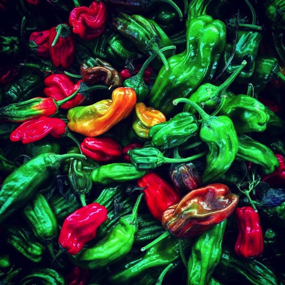 More Chilis at Sherman Oaks Farmers Market via Instagram