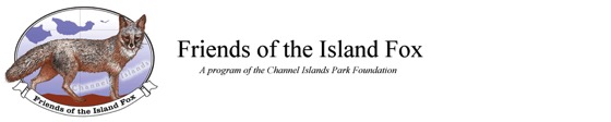 Guest Blog: Visiting the Island Fox on Santa Cruz Island