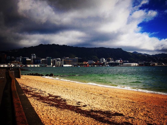 Wellington, New Zealand seen from beach in Oriental Parade via Instagram
