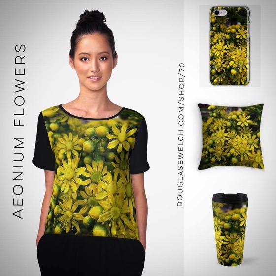 Get these Aeonium Flowers on Tops, Totes, Smartphone Cases and More!