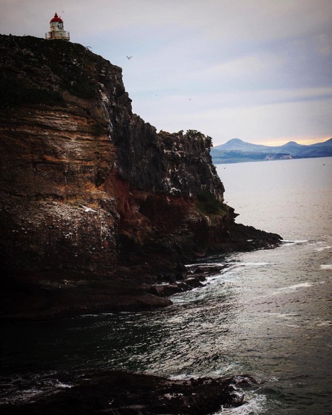 Taiaroa Head, Dunedin, New Zealand via Instagram