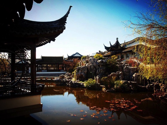 Dunedin Chinese Garden Overview via Instagram