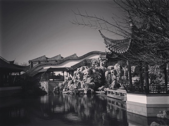 Dunedin Chinese Garden via Instagram