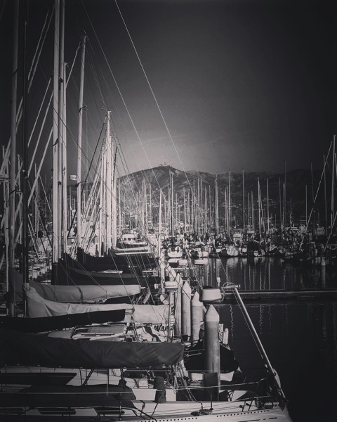 Sailboats in Ventura Harbor in Black and White  via Instagram