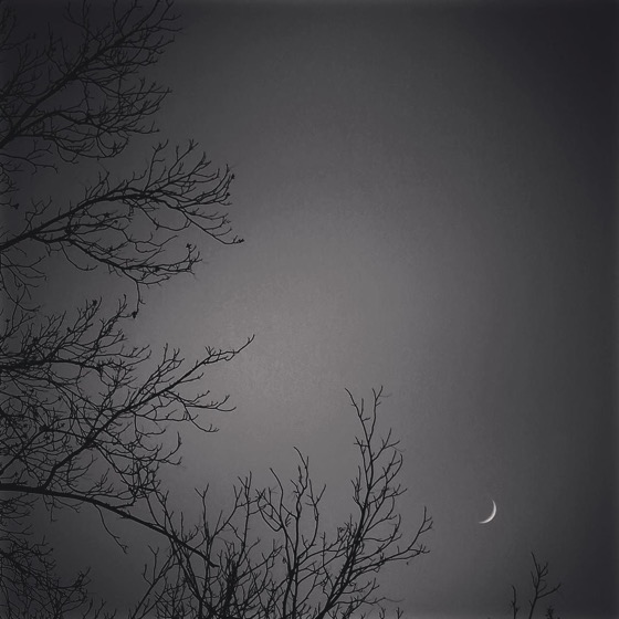 Winter Moonrise via Instagram