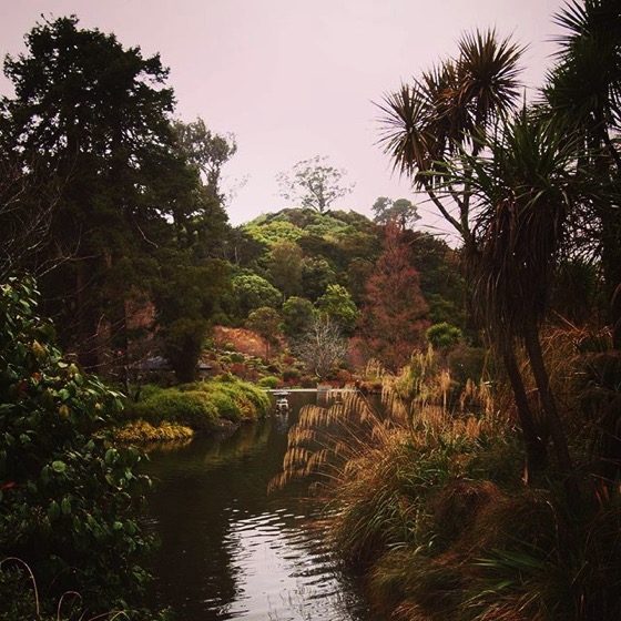 Dunedin Botanic Garden, Dunedin, New Zealand via Instagram