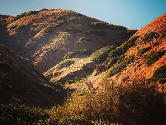 A Scene from Santa Cruz Island 2 via Instagram