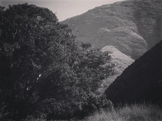 A Scene from Santa Cruz Island via My Instagram
