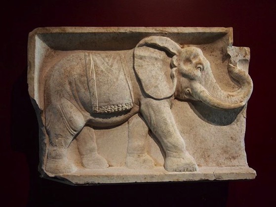 Roman Elephant Carving, Getty Villa via My Instagram