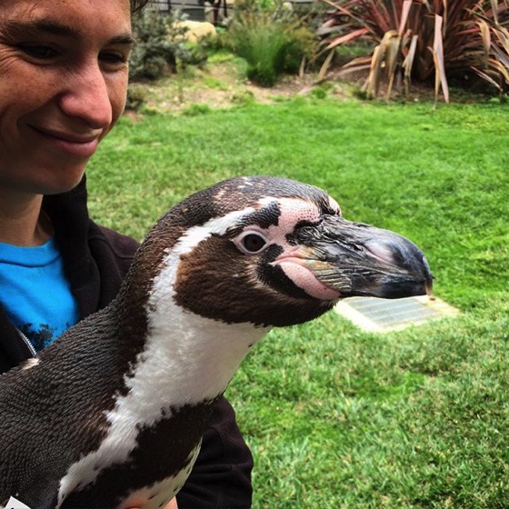 Penguin Encounter! via My Instagram