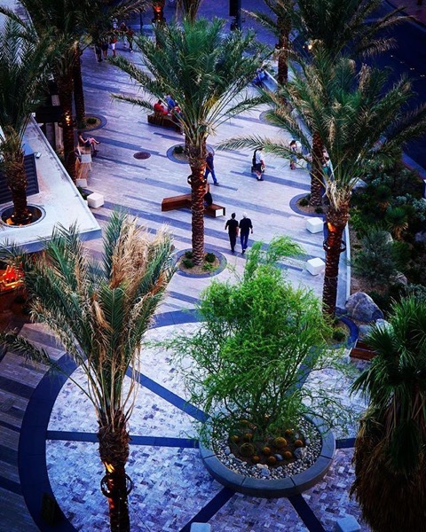 New Plaza in Downtown Palm Springs from the Rowan Hotel — Follow Me On Instagram!