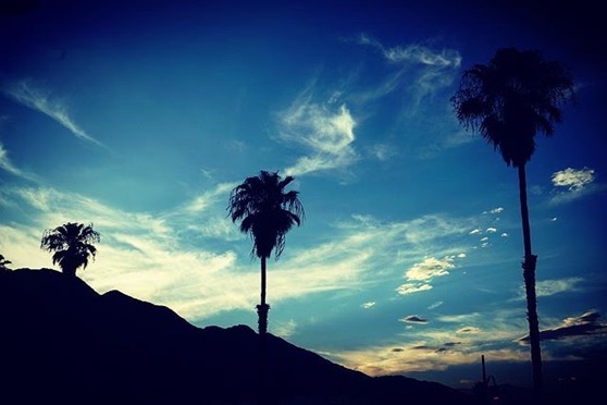 Palms, Sky and Mountains from Downtown Palm Springs from My Instagram
