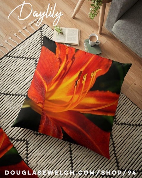 Order these Red Daylily Pillows, Cards, Cases, Totes and More!
