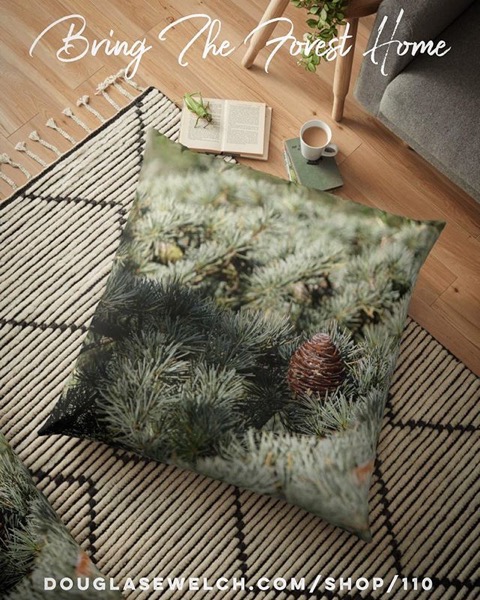 Bring The Forest Home…Fir Tree Pillows, Totes, iPhone Cases, Clothing and more!